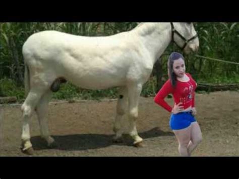 Mujer follando con un burro